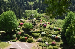 さつき山公園の写真