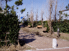 窪田町地区　写真