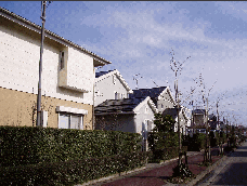 もえぎの地区　写真