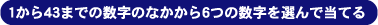 1から43までの数字の中から6つの数字を選んで当てる